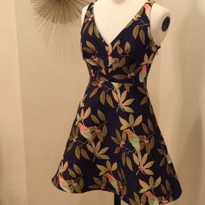 Anthropologie/Eva Franco Bird Dress